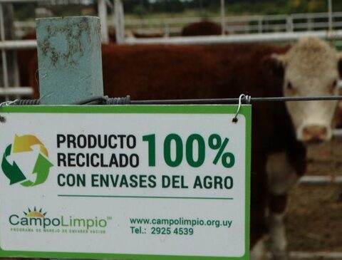 Cleaner agriculture: look at how much plastic they took from the fields and what they used it for