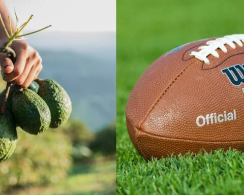 Complaint filed against avocado production in Michoacán