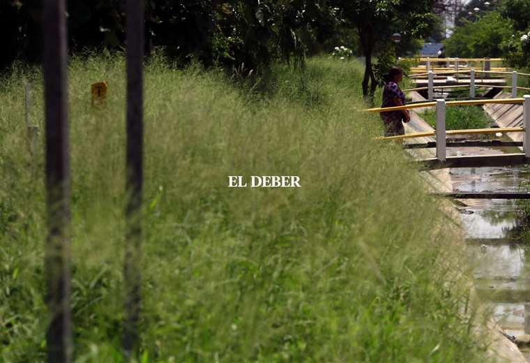 Councilman Terrazas requests that the tender for cleaning green areas be canceled due to an alleged overpricing;  Emacruz justifies an increase