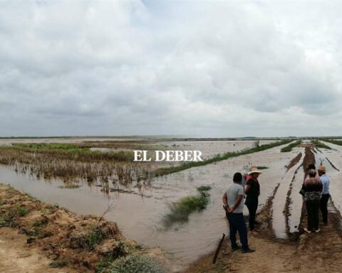 Cuatro Cañadas declares an emergency due to the rains;  13 communities report crop losses