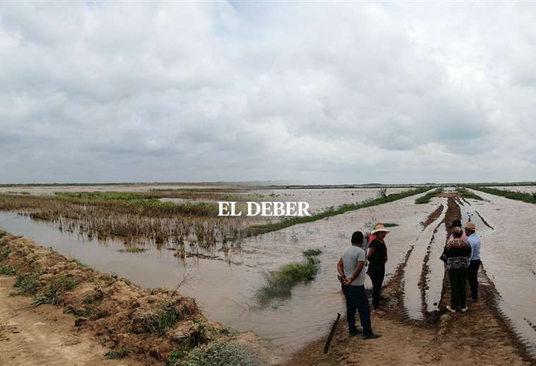 Cuatro Cañadas declares an emergency due to the rains;  13 communities report crop losses