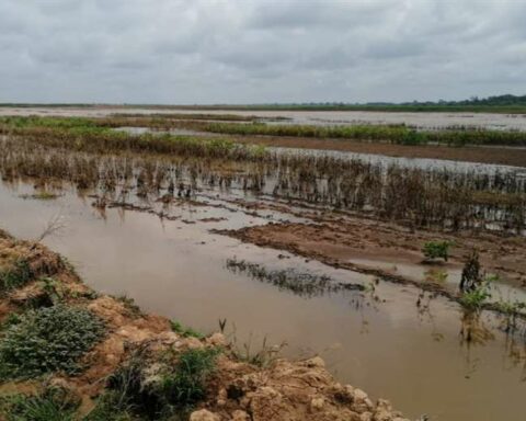 Cuatro Cañadas reports more than 3,000 hectares of crops under water and prepares a disaster declaration