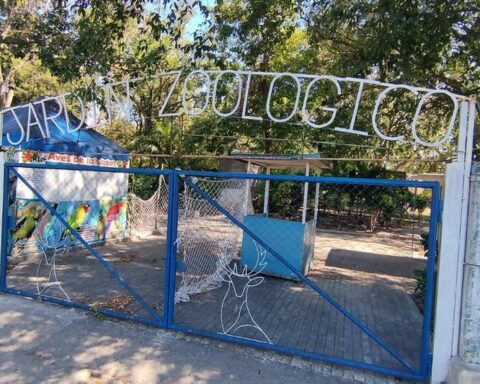 Cuban authorities maintain secrecy about bird flu at the 26-year-old Zoo