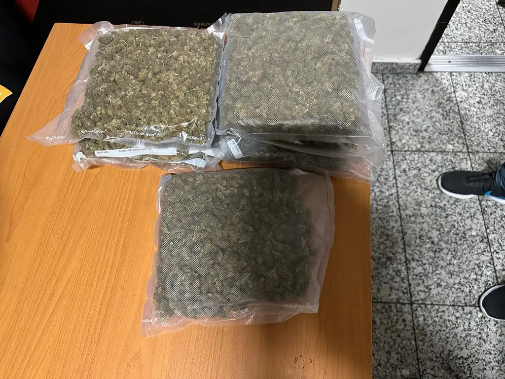 DNCD decomisa 17 paquetes de marihuana camuflados en aspiradora y cajas de cereal