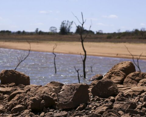 Delegation goes to Rio Grande do Sul to check damages with the drought