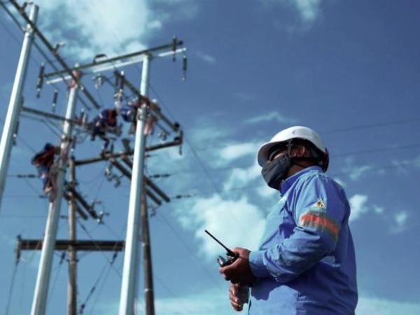 Development Plan proposes a state 'holding' of the electricity sector