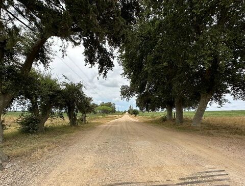 Diversion of the Santa Lucía river: Industry closed and fined the sand pit