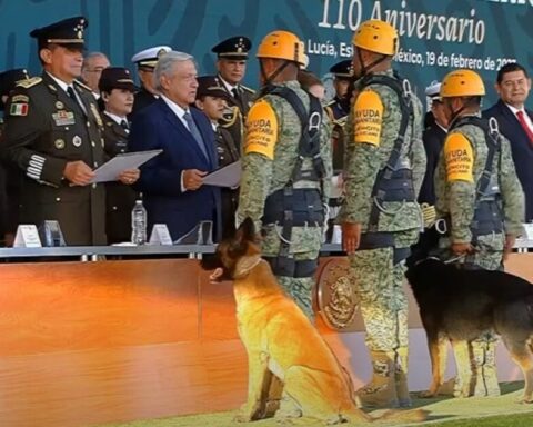 Dogs and military are honored by AMLO after rescue efforts in Turkey