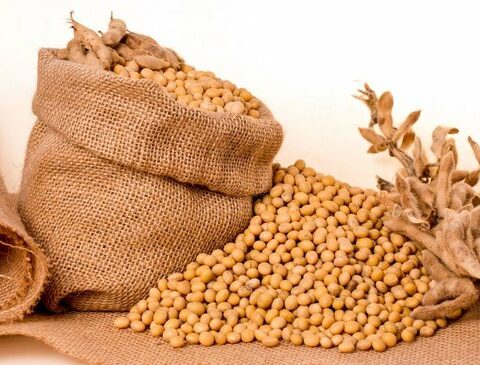 Drought: a painful support for agricultural prices