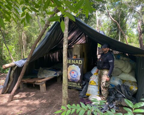 Drug camps found inside national park