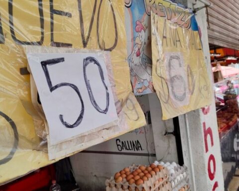 Egg price per kilo: Why is it so expensive in Mexico 2023?