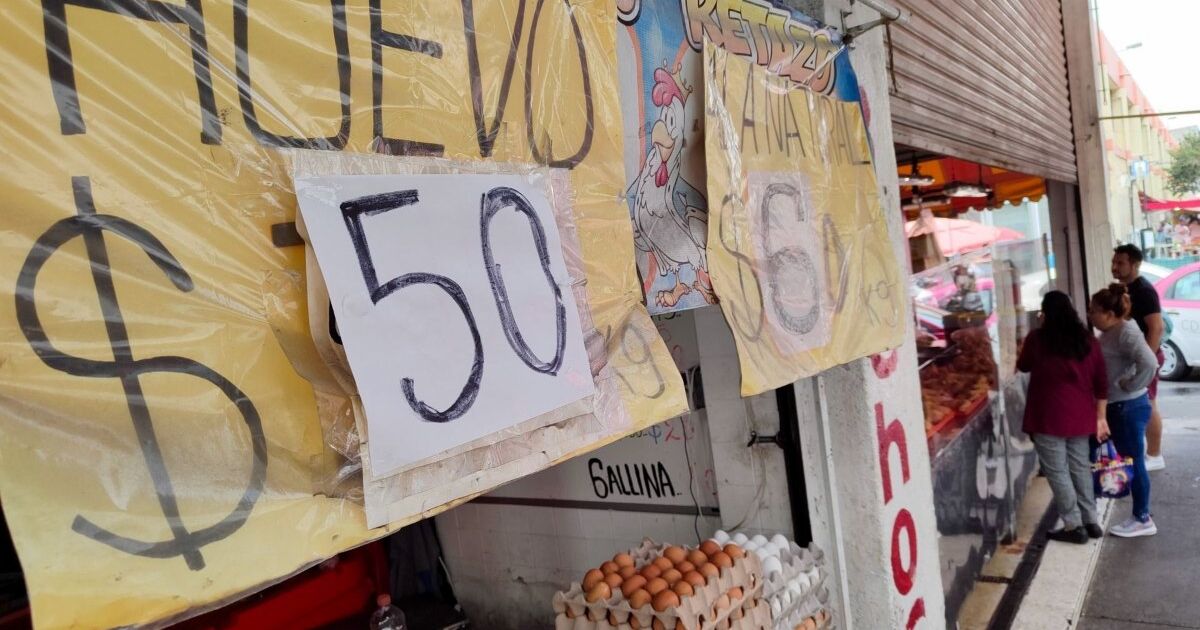 Egg price per kilo: Why is it so expensive in Mexico 2023?