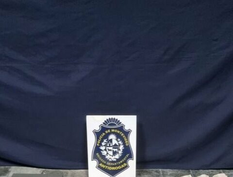 Eight detainees, 17 raids and drugs seized: the Police disrupted a drug gang