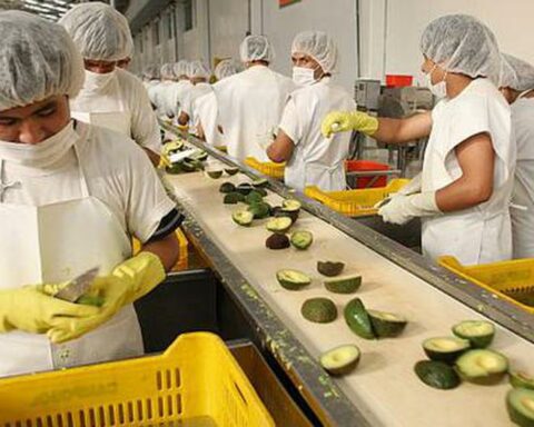 Exports generated 4.1 million jobs in 2022