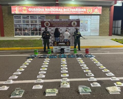 FANB seizes 49 packages of marijuana in Táchira