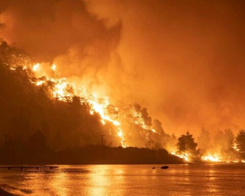 Fires revive with force in southern Chile and the Government acknowledges concern