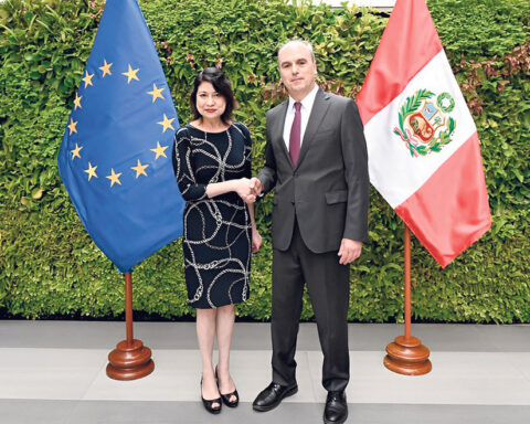 Foreign Minister Ana María Gervasi could not sustain Dina Boluarte's narrative