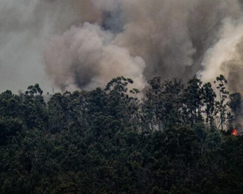 Forest fires in Chile: red alert in Chillán and Chillán Viejo