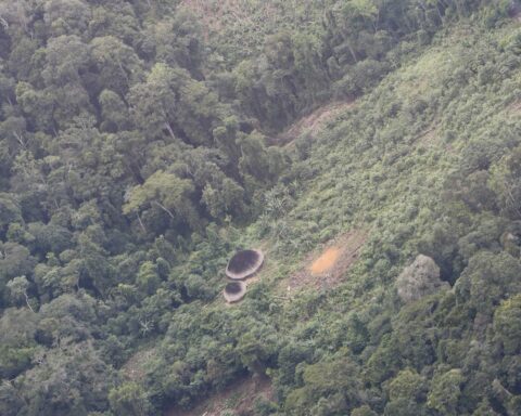 Government sends new relief teams to the Yanomami Indigenous Land