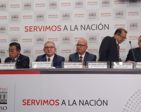 Head of Congressional Carpet Logistics: "They are not the ones that you could have in your houses"