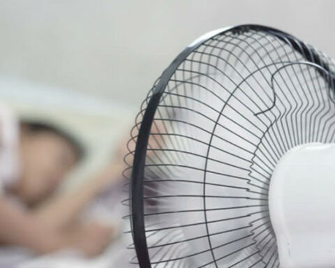 Historical electricity consumption is paid by Uruguayan households, not by large stores