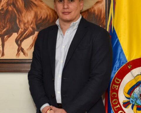 Horses, a market that gallops at a rate of $6 billion each year