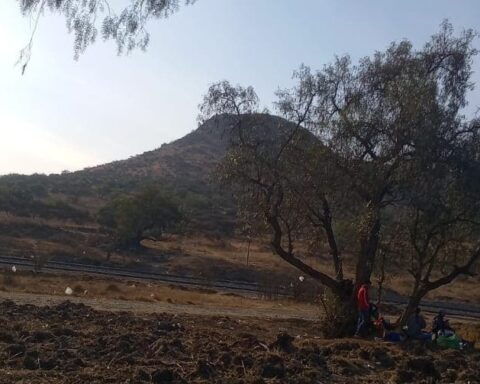 How the mafias that traffic illegally through Mexico work