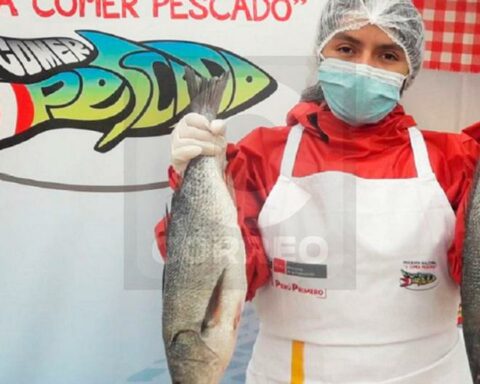 Huancayo, eat fish! Find out the points of sale here for three days