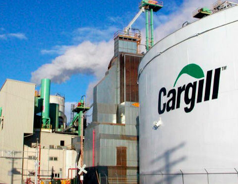 IPSA cancels Cargill's sanitary registration for shrimp