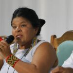 Illegal mining in Yanomami Indigenous Land is destructive, says minister