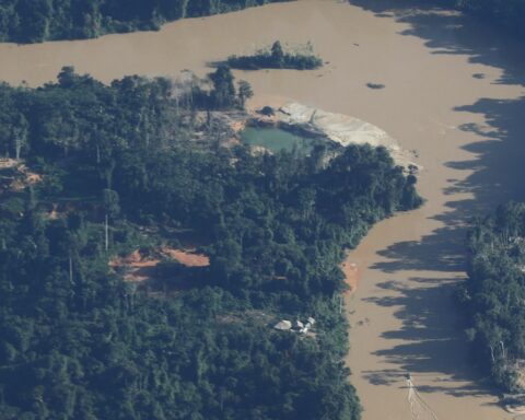 Indigenous leader: mining has reached new Yanomami areas in recent years