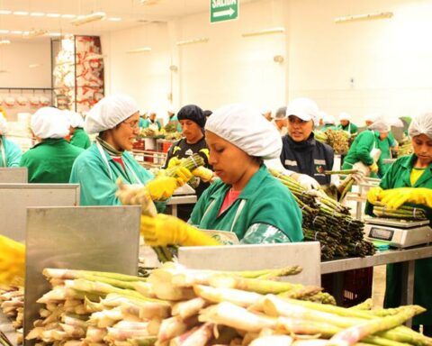 Jobs in danger due to possible repeal of the export regime