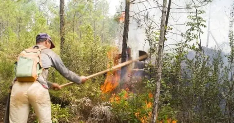 incendio, forestal, Cuba, Holguín