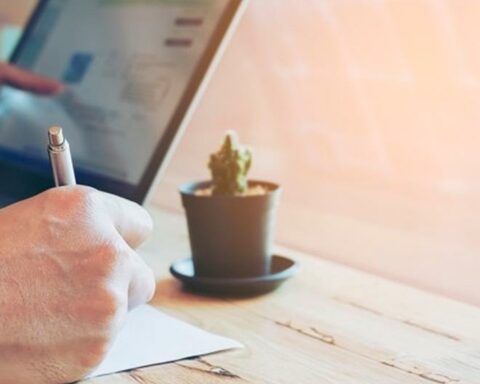 Management career: how much do you earn and what areas to specialize in?