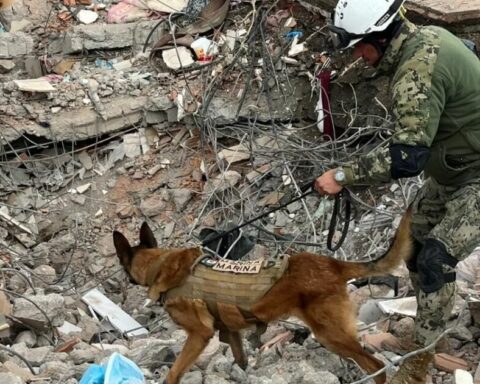 Mexican brigade members rescue eight-year-old girl from rubble in Turkey