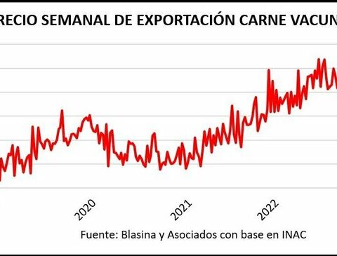 More than 50,000 cattle are slaughtered and the prices of cattle and exported meat rise