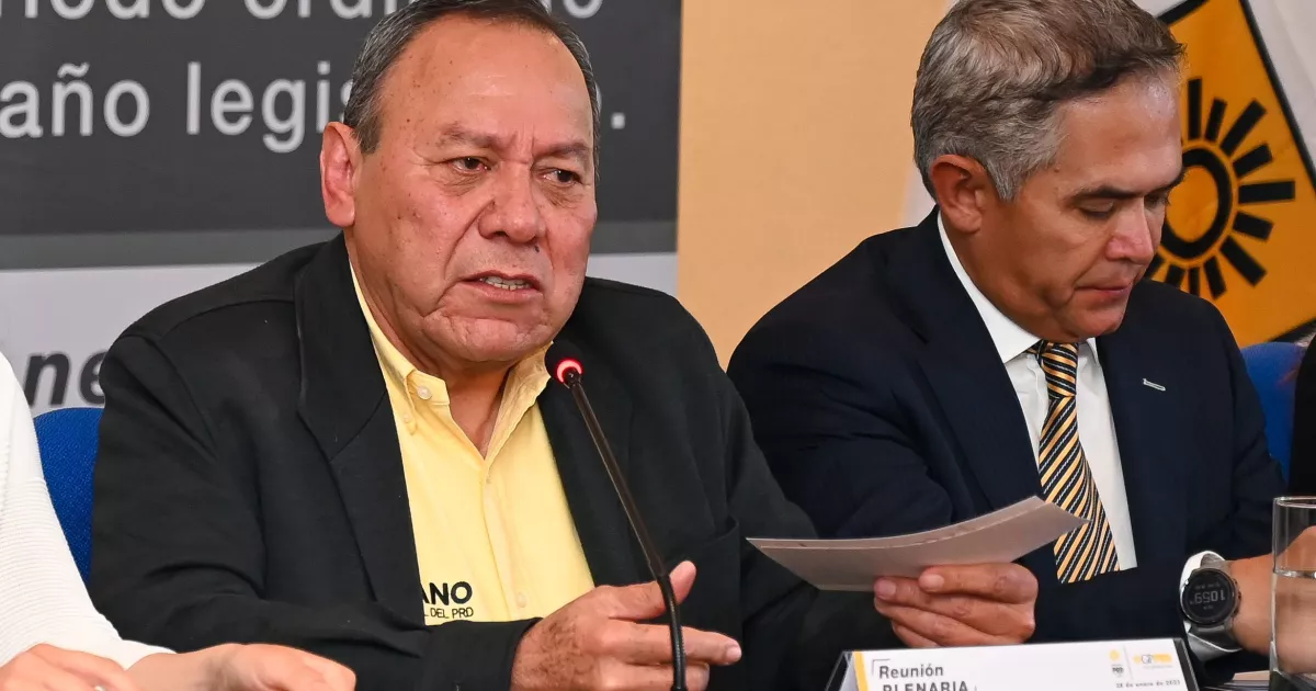 PRD: there will be no "anayazo" in the election of the opposition candidate for 2024