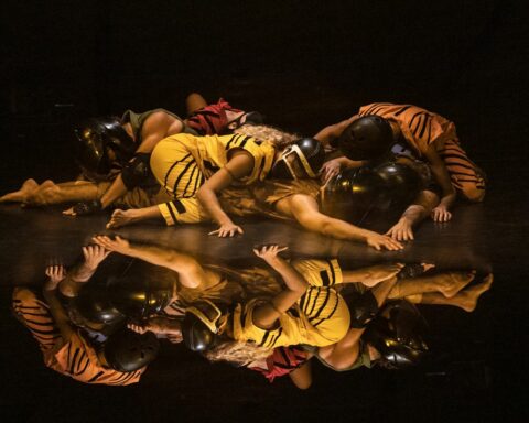 Palco Carioca presents dance companies at popular prices