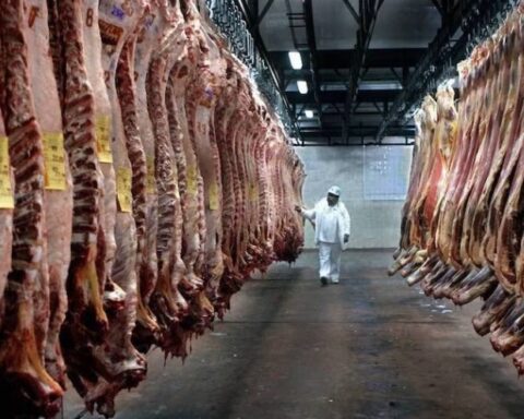 Paraguayan meat, with "positive forecasts" to enter the US market