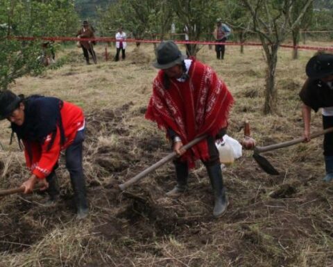 Petro assures that peace will be achieved if the agrarian reform is achieved