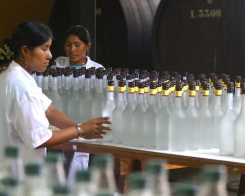 Pisco exports increased 45% in 2022