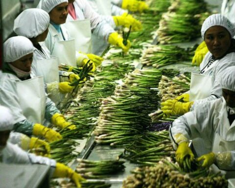 "Populism" of Congress does not reactivate the economy