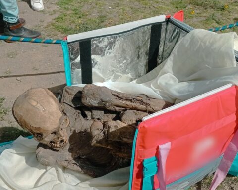 Pre-Hispanic mummy found in the bag of a food delivery man in Peru