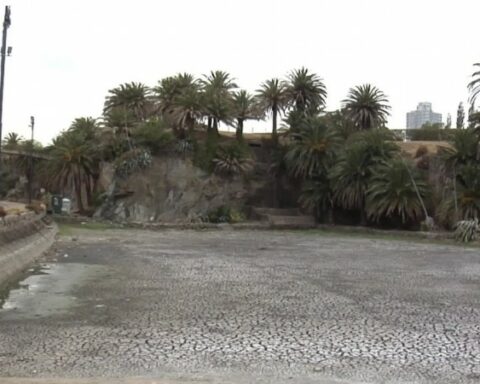 President Lacalle Pou affirms that some losses due to drought are irreparable