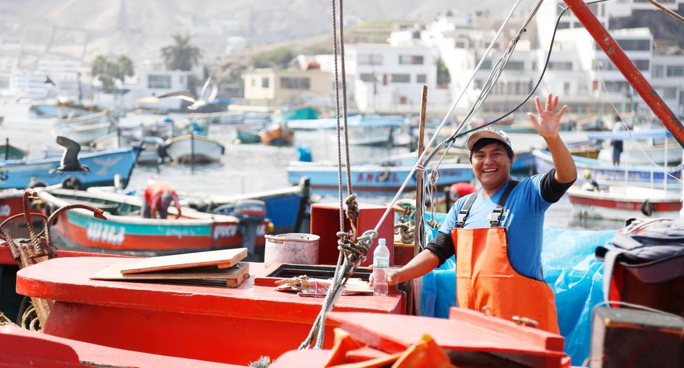 Produce promotes measures in favor of MYPE producers, fish farmers and artisanal fishermen