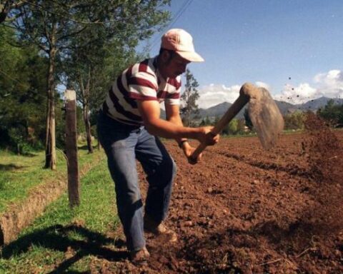 Producer prices started 2023 with lower growth