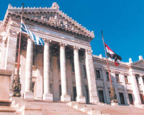 Questioning of former prosecutor Díaz: Peña lied and returns to the Senate, "it is not the same to be a politician as a common citizen"