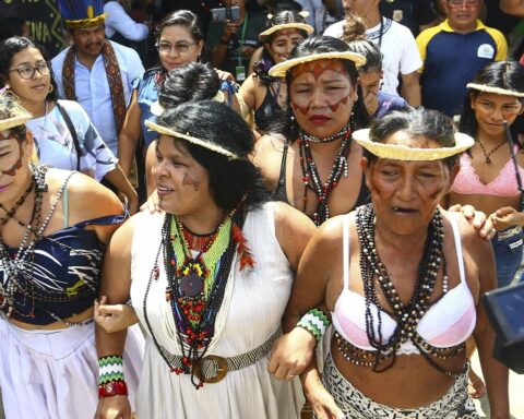 Retaking of Vale do Javari is 'act of responsibility', says Joenia