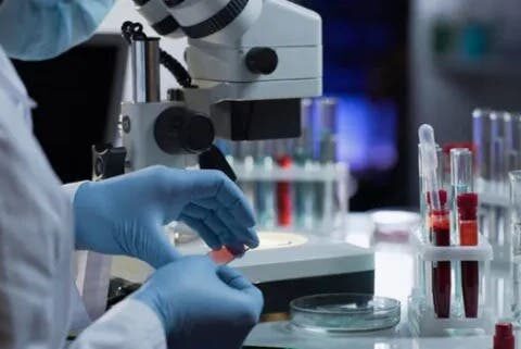 SP reporta 21 casos covid-19 y dos nuevos ingresos