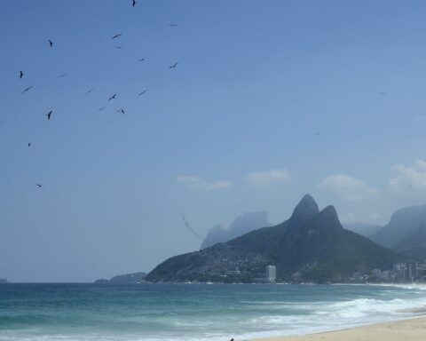 Sample bank of albatrosses and petrels expands by 57.5%